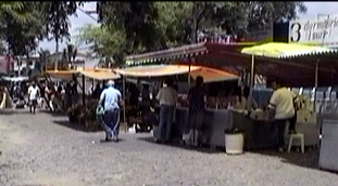feiradarwin_barracasalimentacao.jpg (37645 bytes)