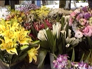 feiradarwin_flores.jpg (61353 bytes)