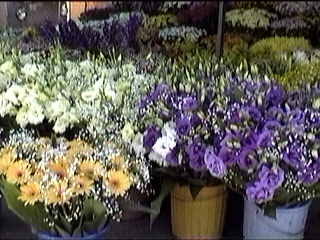 Banca de Flores