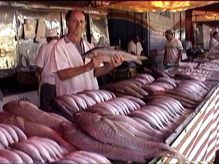 Banca de Peixes